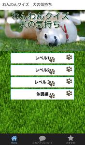 犬の気持ち　わんわんクイズ　犬を育てている犬好きな方へ-poster