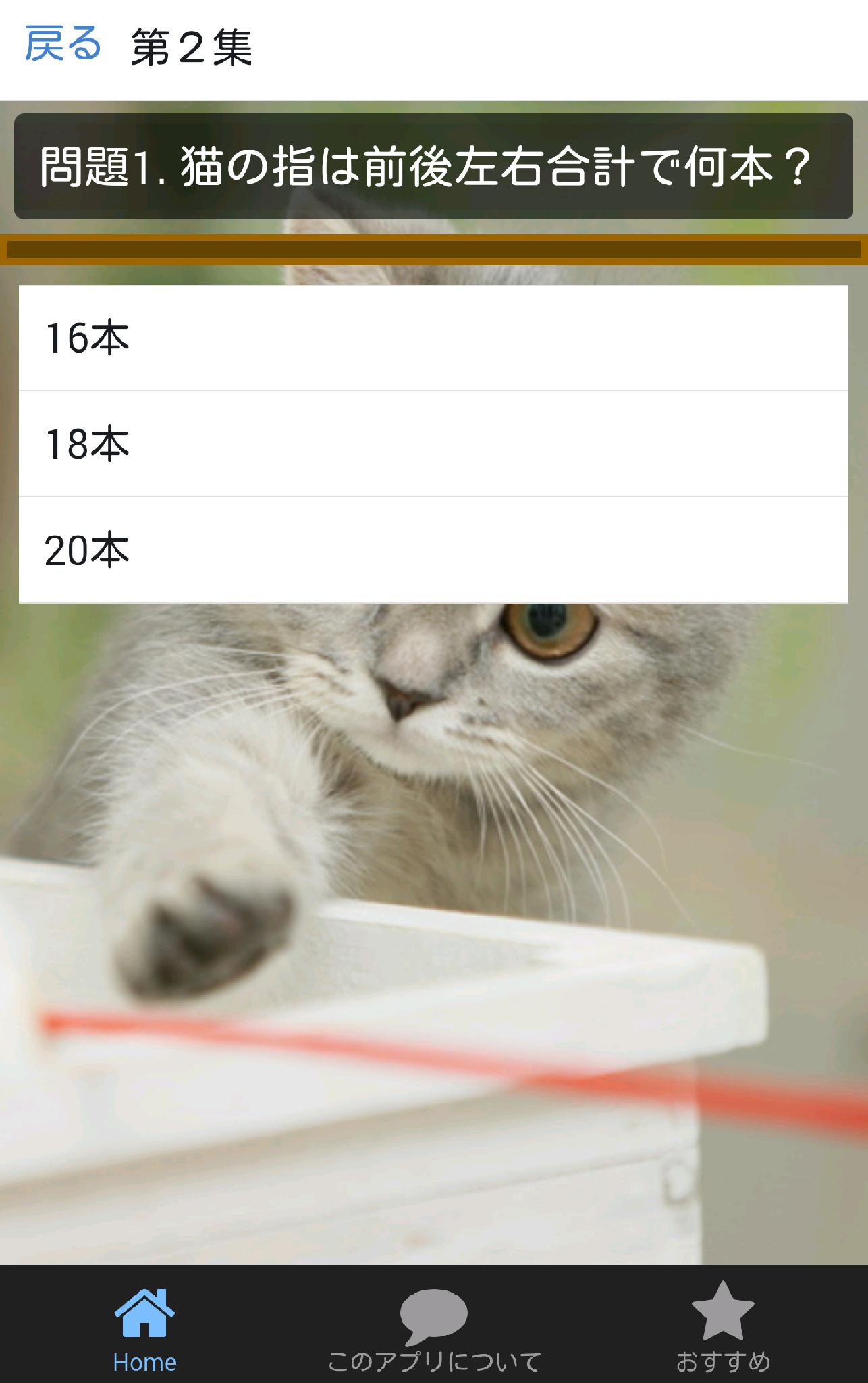 猫に関するクイズ 猫の習性や飼うときの注意などがよくわかる For Android Apk Download 猫に関するクイズ 猫の習性や飼うときの注意などがよくわかる For Android Apk Download