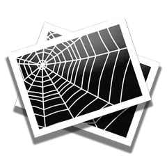 Image Search Download All