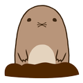 Pull up Mole