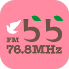 FMらら768 of using FM++ icône