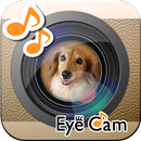 EyeCam -Catch the Eyes- APK