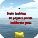 Brain training 3D physics puzzle ball in the goal! APK