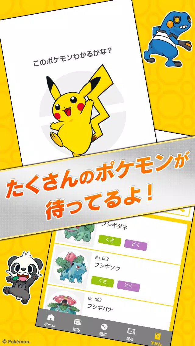 ポケモンだいすきクラブ公式アプリ For Android Apk Download ポケモンだいすきクラブ公式アプリ For Android Apk Download