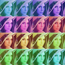 Face Catcher APK