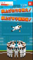 胴上げ甲子園 Plakat