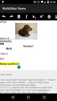 RichEditor for Android Demo 截圖 2