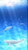 Aquarium beluga simulation 截图 1