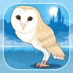 Owl Simulation Game