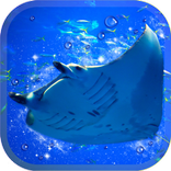 Aquarium manta simulation game