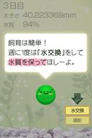 ゆる〜く まりも育成 تصوير الشاشة 1