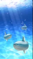 Aquarium sunfish simulation screenshot 1