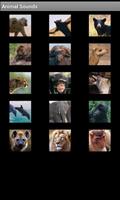 Free Animal Sounds โปสเตอร์