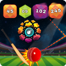 Block Cricket APK