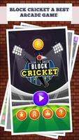 Block Cricket Plakat