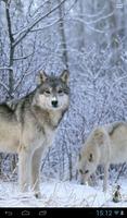 Wolves in winter ภาพหน้าจอ 1