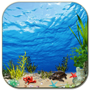 Aquarium wallpaper APK