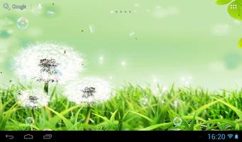 Dandelions capture d'écran 3