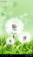 Dandelions Affiche