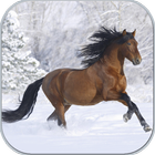 Horses in winter icône