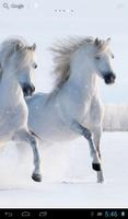 Horses in winter capture d'écran 3