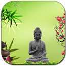 Relax Zen Wallpapers APK