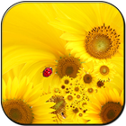 Sunflower lwp icône