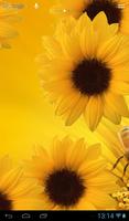 Sunflower lwp Affiche