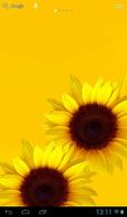 Sunflower lwp capture d'écran 1