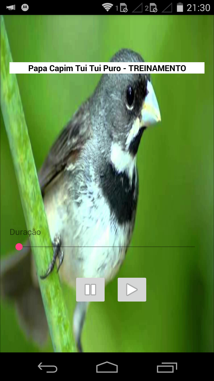 Novo fameo papa capim APK for Android Download