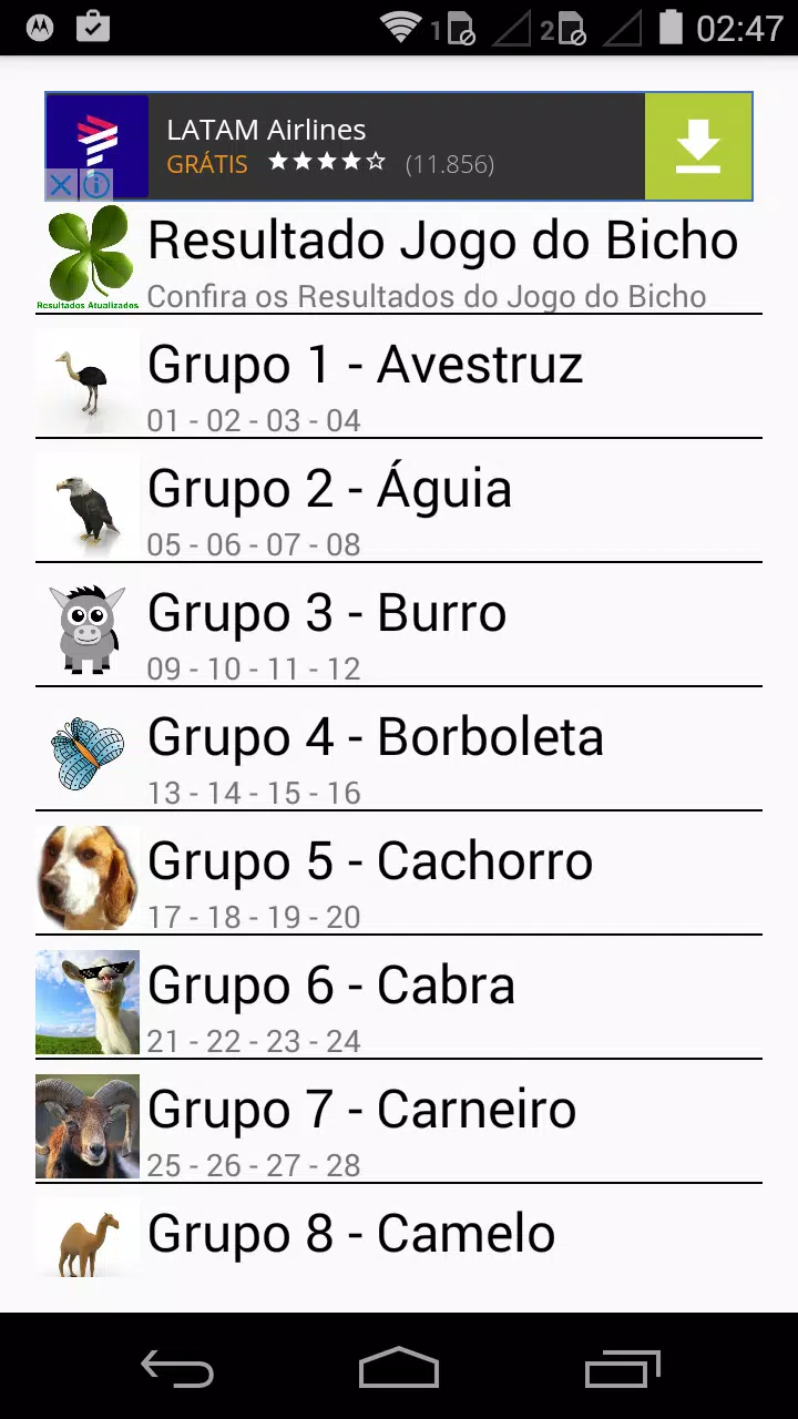 Palpites do Bicho no Celular APK for Android Download