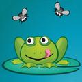 Spring Ninja Frog