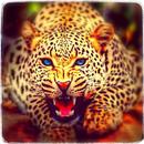 Jungle Cheetah Run 3D APK
