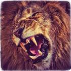 Jungle Lion Run 3D icône