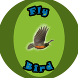 Fly Bird