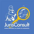 Jurisconsult icône