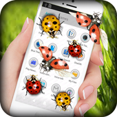 Ladybug on Screen Funny Joke icon