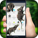 Mouse on Screen Scary Joke