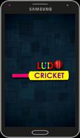 ludo Cricket Affiche