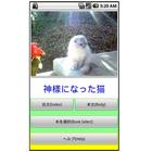 MyBook猫物語wide icon