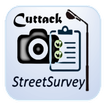 Streetlight survey