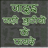 जादुई जड़ी बूटियों के फायदे