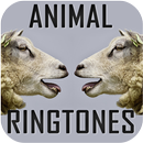 動物鈴聲和聲音 APK