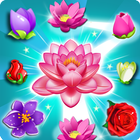 Blossom Splash icône