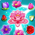 Blossom Splash アイコン