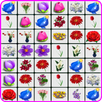 Onet Flowers APK