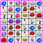 Onet Flowers आइकन