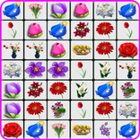 Onet Flowers