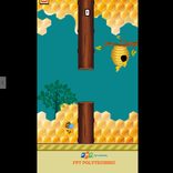 Bees Sleep