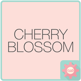ColorfulTalk-CherryBlossom카톡테마 アイコン